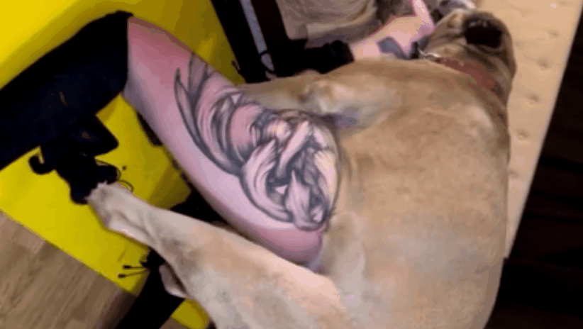 图片[3]-【特殊资源】身材超级棒的国外纹身少女被自家二狗长又大的肉棒后入暴力抽插 估计都顶到子宫了😳🙈🙈-51欢迎您！