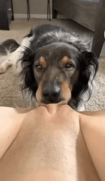 【特殊资源】身材超级棒的国外纹身少女被自家二狗长又大的肉棒后入暴力抽插 估计都顶到子宫了😳🙈🙈-51欢迎您！